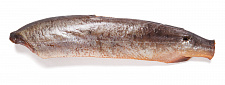 Pembe somon balığı