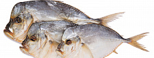Vakumlu pakette vomer balığı