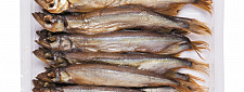 Ayıklanmamış kapelin balığı (tabakta)