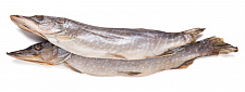 Vakumlu pakette turna balığı